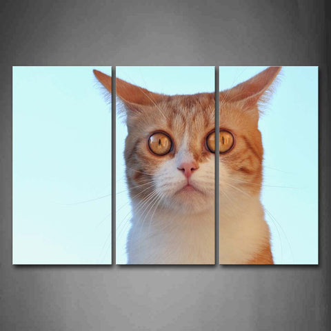 Cat Head Portrait Wall Art Painting The Picture Print On Canvas Animal Pictures For Home Decor Decoration Gift 