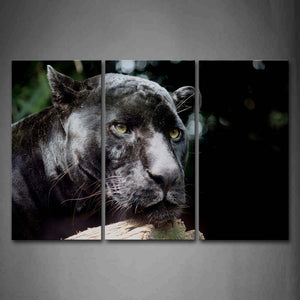 Black Panther Over Wood  Wall Art Painting Pictures Print On Canvas Animal The Picture For Home Modern Decoration 