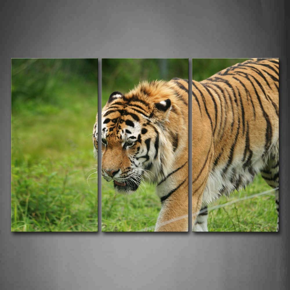 Tiger Walk On Grass Wall Art Painting The Picture Print On Canvas Animal Pictures For Home Decor Decoration Gift 