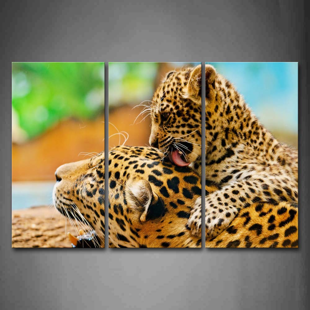 Mother Leopard With Cub Play On Land Wall Art Painting Pictures Print On Canvas Animal The Picture For Home Modern Decoration 