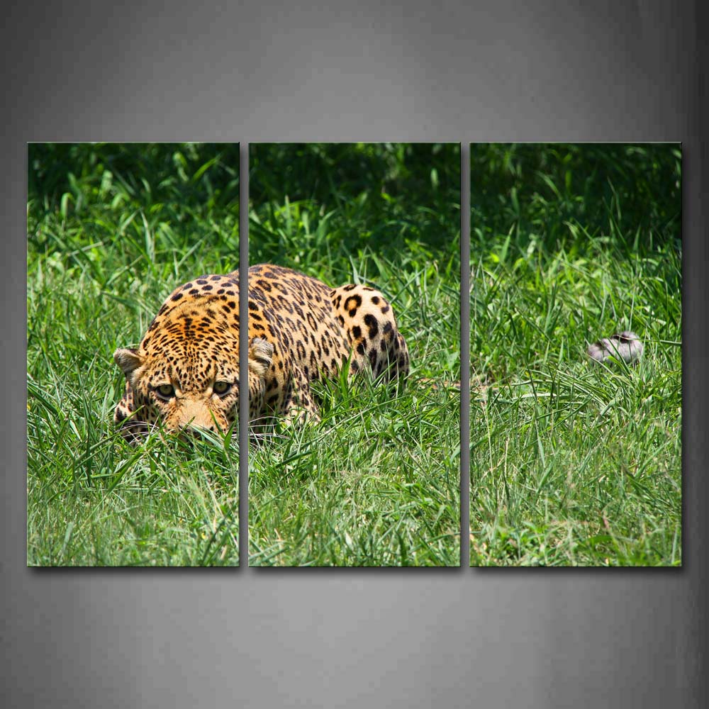 Leopard Crawl On Grass Wall Art Painting Pictures Print On Canvas Animal The Picture For Home Modern Decoration 