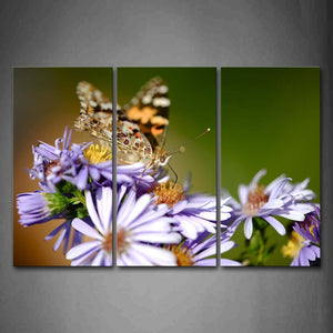 Butterfly Crawl On Purple Flower Wall Art Painting The Picture Print On Canvas Animal Pictures For Home Decor Decoration Gift 