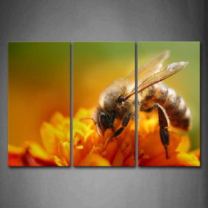 Bee On Yellow Flower Wall Art Painting The Picture Print On Canvas Animal Pictures For Home Decor Decoration Gift 