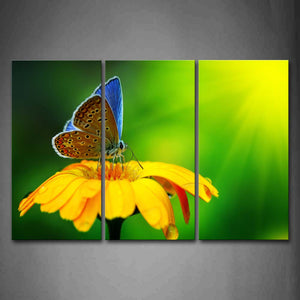 Butterfly On Yellow Flower Wall Art Painting Pictures Print On Canvas Animal The Picture For Home Modern Decoration 