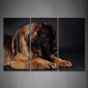 Leonberger Lie On Land Gray Background Wall Art Painting Pictures Print On Canvas Animal The Picture For Home Modern Decoration 