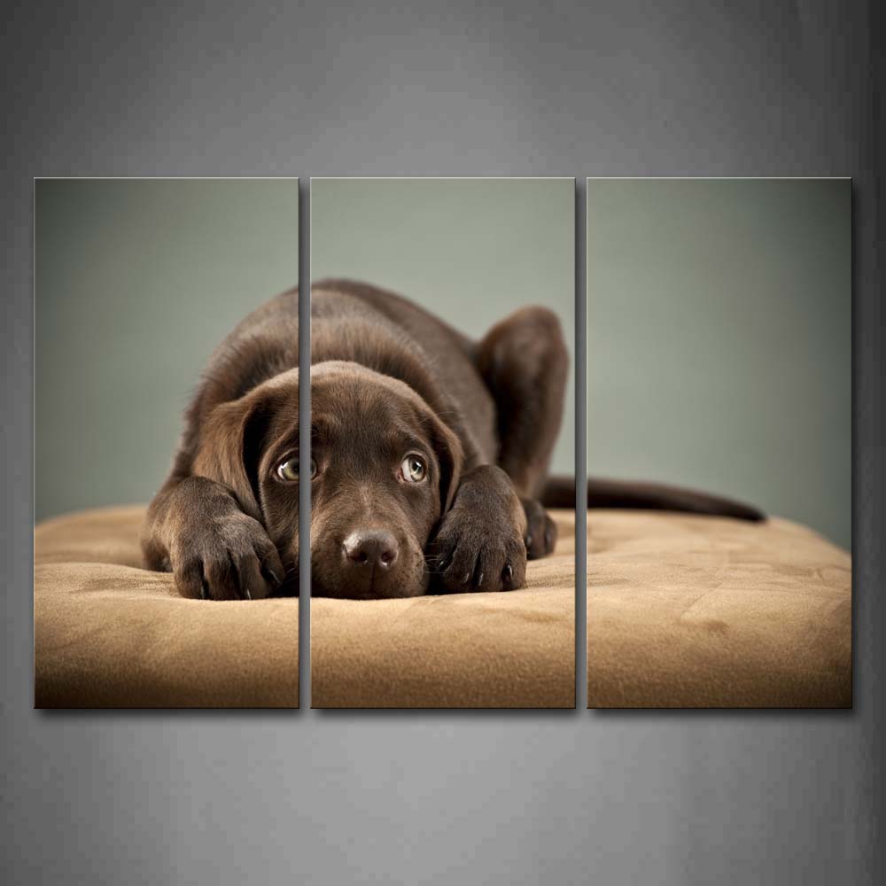 Brown  Dog Bend Over On Yellow Blanket Wall Art Painting The Picture Print On Canvas Animal Pictures For Home Decor Decoration Gift 