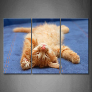 Cat Lie On Blue Cloth Wall Art Painting Pictures Print On Canvas Animal The Picture For Home Modern Decoration 