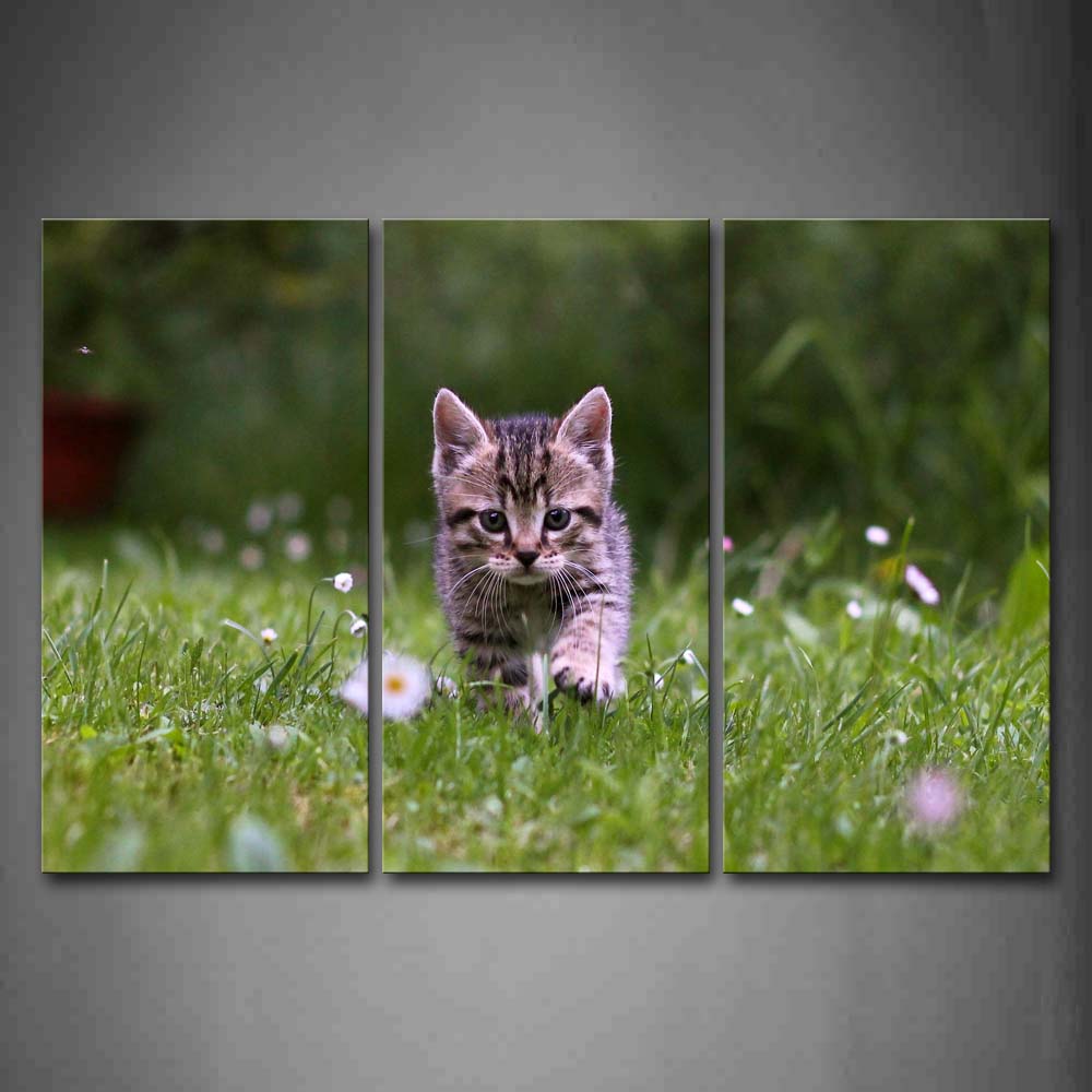 Cat Walk In Grass Flower Wall Art Painting The Picture Print On Canvas Animal Pictures For Home Decor Decoration Gift 