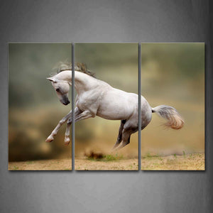 Horse Jump Over Mud Land Dust Wall Art Painting Pictures Print On Canvas Animal The Picture For Home Modern Decoration 