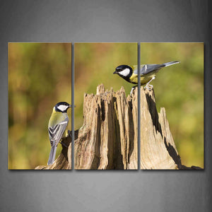 Two Birds Stand On Rotten Trunk Wall Art Painting The Picture Print On Canvas Animal Pictures For Home Decor Decoration Gift 