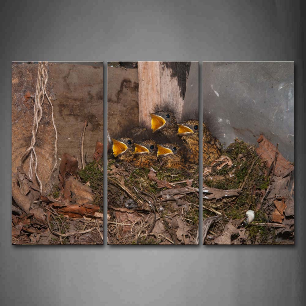 Cub Birds In Nest Open Mouth  Wall Art Painting Pictures Print On Canvas Animal The Picture For Home Modern Decoration 