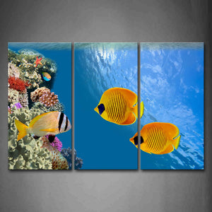 Yellow Fishes In Blue Sea Seabed Beautiful Wall Art Painting Pictures Print On Canvas Animal The Picture For Home Modern Decoration 