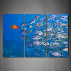 A Group Of Fishes Swim In Blue Sea Wall Art Painting The Picture Print On Canvas Animal Pictures For Home Decor Decoration Gift 