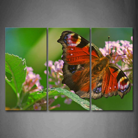 Butterfly Stop On Pink Flower Leafs Wall Art Painting Pictures Print On Canvas Animal The Picture For Home Modern Decoration 