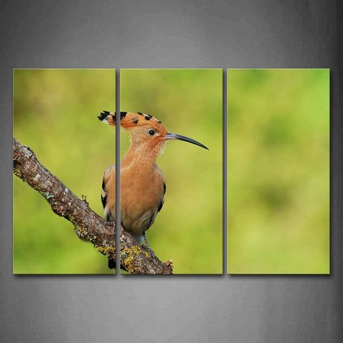 Hoopoe Stand On Dry Branch Moss Wall Art Painting Pictures Print On Canvas Animal The Picture For Home Modern Decoration 