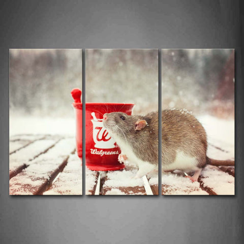 Rat Crawl On Plank Near A Red Glass Snow Wall Art Painting Pictures Print On Canvas Animal The Picture For Home Modern Decoration 