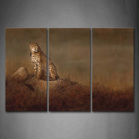 Cheetah Sit On Stone Dry Grassland Wall Art Painting The Picture Print On Canvas Animal Pictures For Home Decor Decoration Gift 