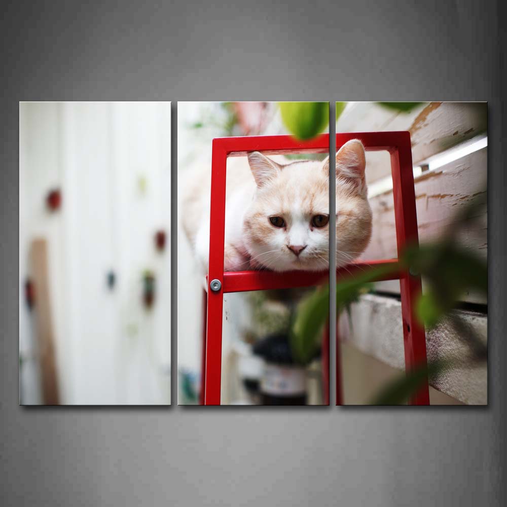 Cat Climb On Shelf Wall Leaf Wall Art Painting The Picture Print On Canvas Animal Pictures For Home Decor Decoration Gift 