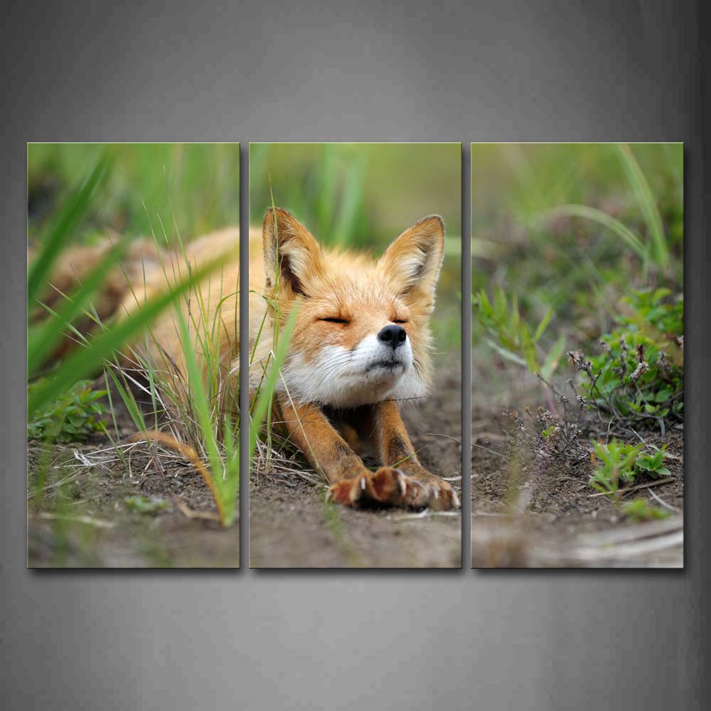 Fox Stretch Body On Mud Land Grass Wall Art Painting The Picture Print On Canvas Animal Pictures For Home Decor Decoration Gift 