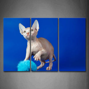 Cat Play With Pompon In Blue Background Wall Art Painting Pictures Print On Canvas Animal The Picture For Home Modern Decoration 