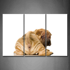 Shar Pei Look Back In White Background Wall Art Painting The Picture Print On Canvas Animal Pictures For Home Decor Decoration Gift 