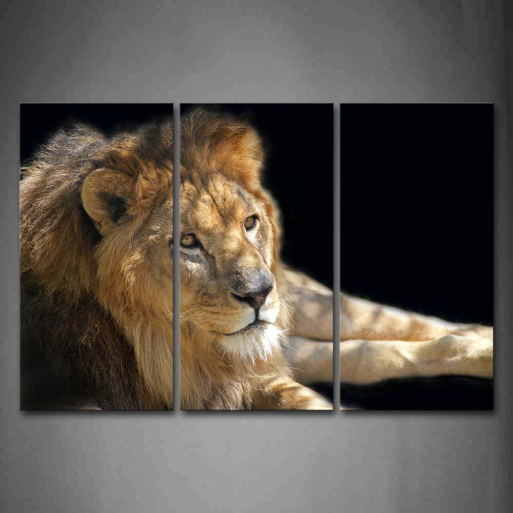 Lion Lie In Balck Background Wall Art Painting Pictures Print On Canvas Animal The Picture For Home Modern Decoration 