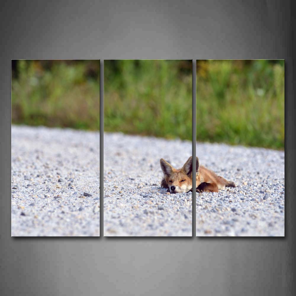 Fox Lie On Stone Land Grass Wall Art Painting The Picture Print On Canvas Animal Pictures For Home Decor Decoration Gift 