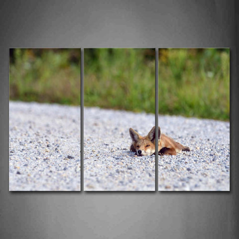 Fox Lie On Stone Land Grass Wall Art Painting The Picture Print On Canvas Animal Pictures For Home Decor Decoration Gift 