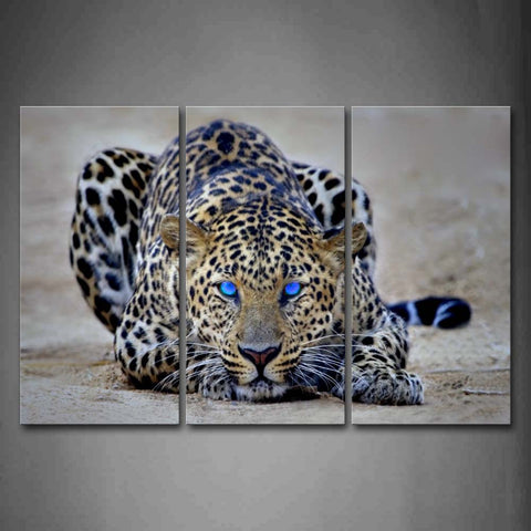 Leopard Crawl On Mud Land Wall Art Painting The Picture Print On Canvas Animal Pictures For Home Decor Decoration Gift 