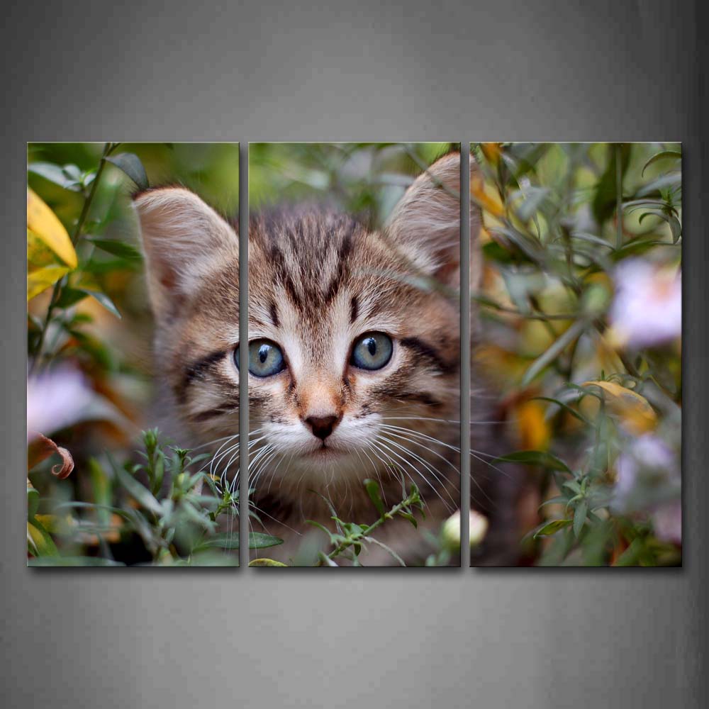 Cat In Plant Head Wall Art Painting Pictures Print On Canvas Animal The Picture For Home Modern Decoration 