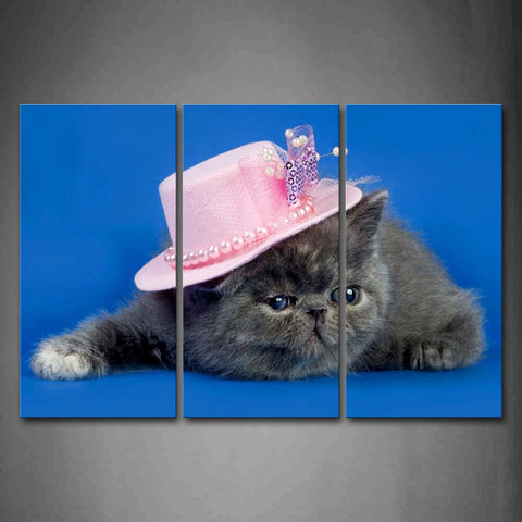 Gray Cat Wear Cap In Blue Background Wall Art Painting The Picture Print On Canvas Animal Pictures For Home Decor Decoration Gift 