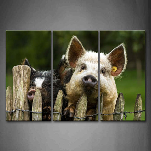 Two Pigs Climb On Fence Wall Art Painting Pictures Print On Canvas Animal The Picture For Home Modern Decoration 