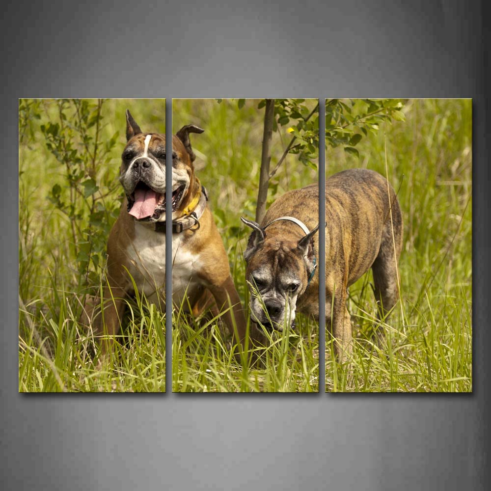 Two Dogs Stand In Grass Near Smalltrees Wall Art Painting Pictures Print On Canvas Animal The Picture For Home Modern Decoration 