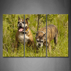 Two Dogs Stand In Grass Near Smalltrees Wall Art Painting Pictures Print On Canvas Animal The Picture For Home Modern Decoration 