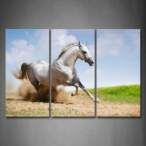 Horse Run On Mud Land Dust Lawn Wall Art Painting Pictures Print On Canvas Animal The Picture For Home Modern Decoration 