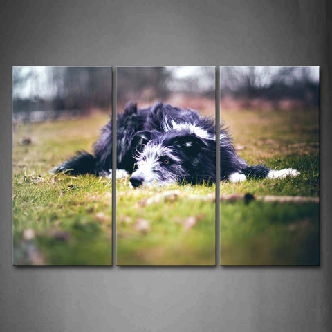 Dog Lie On Lawn Portrait Wall Art Painting The Picture Print On Canvas Animal Pictures For Home Decor Decoration Gift 