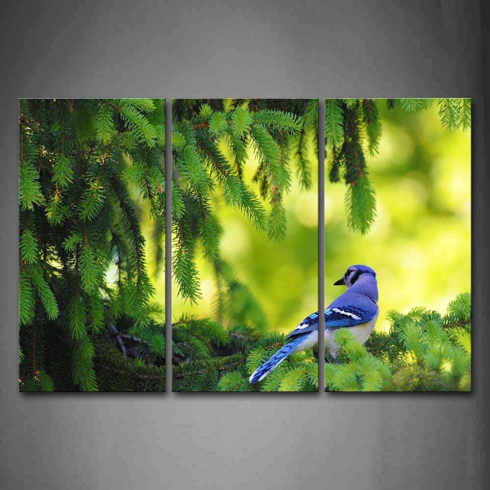 Blue Bird Stand On Green Tree Wall Art Painting Pictures Print On Canvas Animal The Picture For Home Modern Decoration 