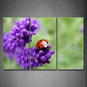 Ladybug Crawlon Purple Flower Wall Art Painting Pictures Print On Canvas Animal The Picture For Home Modern Decoration 