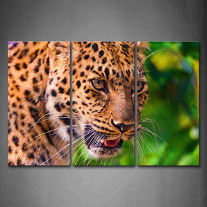 Leopard Head Portrait Wall Art Painting The Picture Print On Canvas Animal Pictures For Home Decor Decoration Gift 