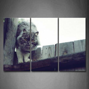 Black And White Gray Cat Climb On Wood Door Wall Art Painting Pictures Print On Canvas Animal The Picture For Home Modern Decoration 