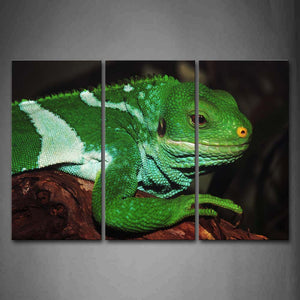 Green Iguana Crawl On Wood Wall Art Painting Pictures Print On Canvas Animal The Picture For Home Modern Decoration 