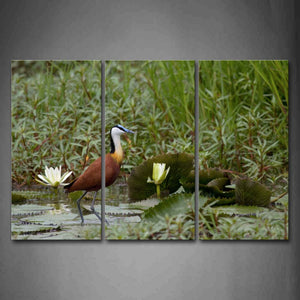 Bird Stand On Pool Water Plant Lotus Wall Art Painting The Picture Print On Canvas Animal Pictures For Home Decor Decoration Gift 