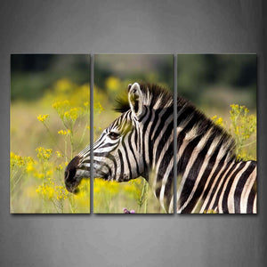 Zebra Head Profile Yellow Flower Wall Art Painting Pictures Print On Canvas Animal The Picture For Home Modern Decoration 