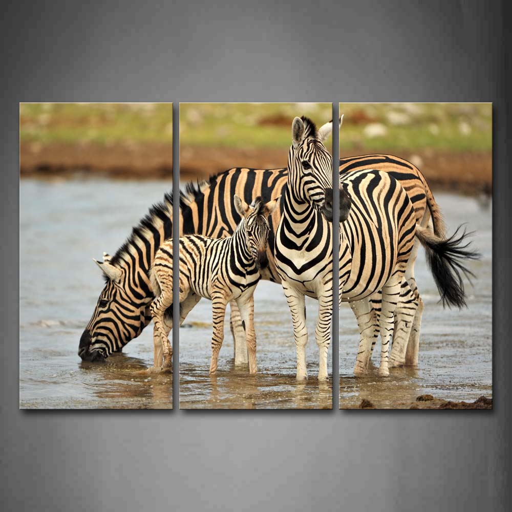 Mother Zebra And Cubs Stand In River  Wall Art Painting The Picture Print On Canvas Animal Pictures For Home Decor Decoration Gift 