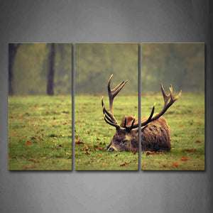 Deer Sleep On Lawn Tree Fallen Leafs Wall Art Painting Pictures Print On Canvas Animal The Picture For Home Modern Decoration 