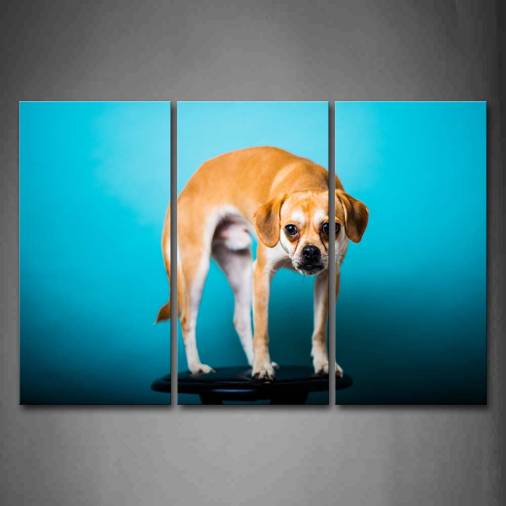 Yellow Dog Stand On Chair In Blue Background Wall Art Painting The Picture Print On Canvas Animal Pictures For Home Decor Decoration Gift 