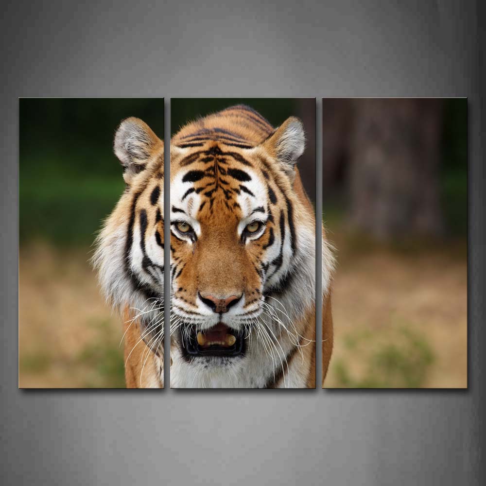 Tiger Is Walking Portrait  Wall Art Painting Pictures Print On Canvas Animal The Picture For Home Modern Decoration 