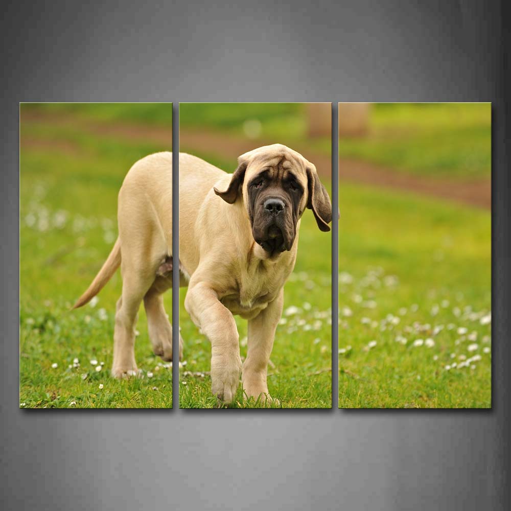 Yellow Dog Stand On Lawn Flower Wall Art Painting The Picture Print On Canvas Animal Pictures For Home Decor Decoration Gift 