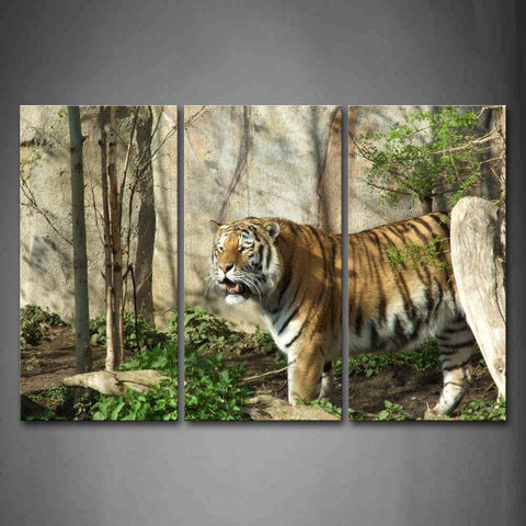 Tiger Stand On Mud Land Grass Tree Wall Wall Art Painting Pictures Print On Canvas Animal The Picture For Home Modern Decoration 