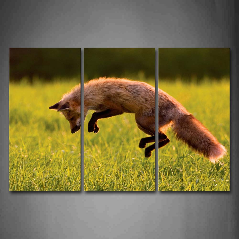 Yellow Fox Jump Over Grassland Wall Art Painting The Picture Print On Canvas Animal Pictures For Home Decor Decoration Gift 